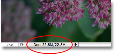 Окна документа отображается текущий размер документа Photoshop. Image © 2009 Photoshop Essentials.com.