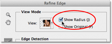 The Show Radius option in the Refine Edge dialog box. Image © 2012 Photoshop Essentials.com