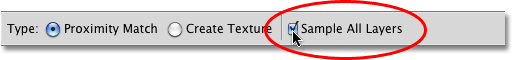 The Sample All Layers option in the Options Bar in Photoshop. Image © 2010 Photoshop Essentials.com