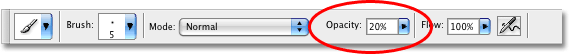 The Brush Opacity option in the Options Bar in Photoshop. Image © 2008 Photoshop Essentials.com.