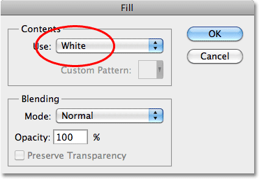 The Fill dialog box in Photoshop. Image © 2010 Photoshop Essentials.com.