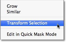 Go to Select > Transform Selection. Image © 2010 Photoshop Essentials.com.