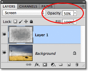 Pilihan Opacity lapisan dalam panel di Photoshop. Gambar © 2011 Photoshop Essentials.com.