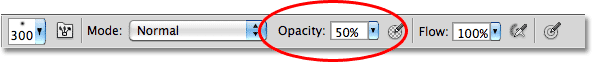 Changing the opacity of the brush in Photoshop. Image © 2010 Photoshop Essentials.com.