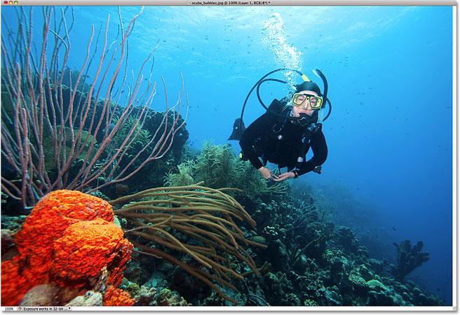 Sebuah foto dari seorang penyelam scuba dan karang. Gambar berlisensi dari iStockphoto oleh Photoshop Essentials.com.