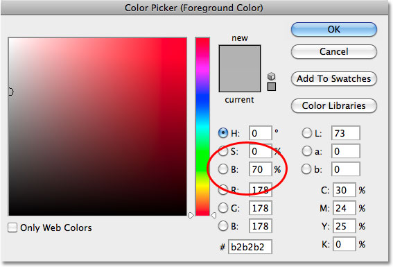 Memilih abu-abu terang di Color Picker di Photoshop. Image © 2010 Photoshop Essentials.com.