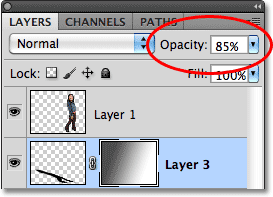 The Layer opacity option in Photoshop. Image © 2010 Photoshop Essentials.com.