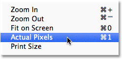 Photoshop View > Actual Pixels command. Image © 2011 Photoshop Essentials.com.