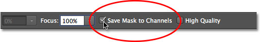 Save Masker untuk Saluran Opsi untuk Iris Blur filter di Galeri Blur. Image © 2012 Photoshop Essentials.com