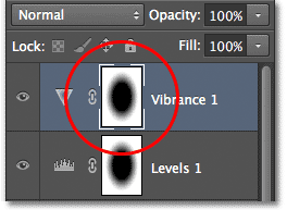 Panel Layers menampilkan lapisan Vibrance penyesuaian. Image © 2012 Photoshop Essentials.com