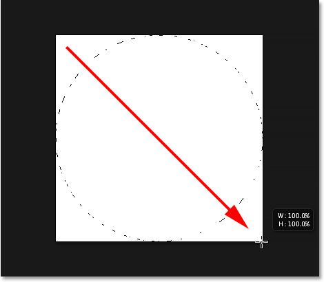 Drawing a circular selection with the Elliptical Marquee Tool. Image © 2014 Photoshop Essentials.com.