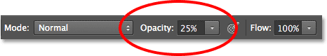 Menurunkan opacity brush menjadi 25% di Photoshop. Image © 2013 Photoshop Essentials.com