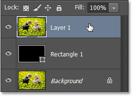 Memilih Layer 1 di panel Layers. Image © 2013 Photoshop Essentials.com