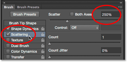 Setting Scatter to 250% in the Brush panel. Image © 2014 Photoshop Essentials.com.