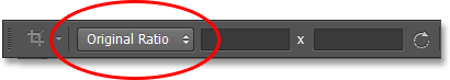 Pengaturan aspek rasio Crop Tool untuk Rasio asli. Image © 2013 Photoshop Essentials.com