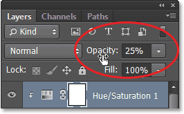 Opaklığını ayarlama katmanının. Görüntü © Photoshop 2013 Essentials.com