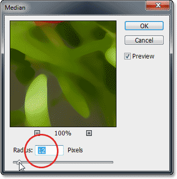 Pilihan filter di Photoshop CS6 Median. Image © 2013 Photoshop Essentials.com