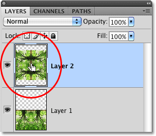 Clicking on the preview thumbnail for Layer 2 in the Layers palette in Photoshop. Image © 2010 Photoshop Essentials.com.