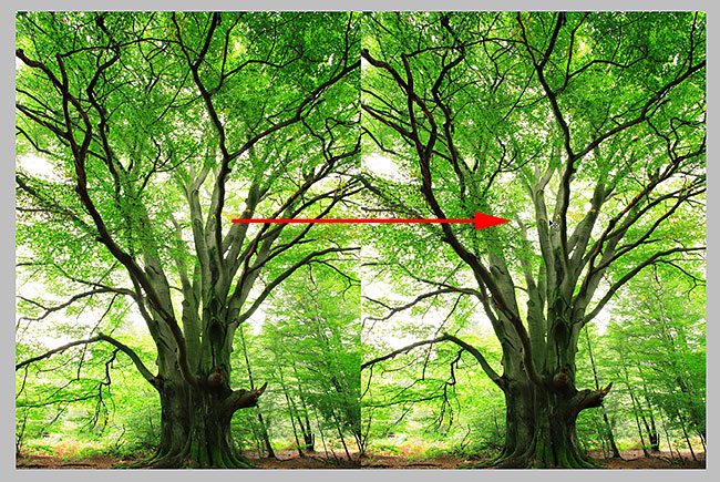 Dragging the image on Layer 1 into the new canvas area. Image © 2010 Photoshop Essentials.com.