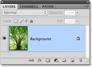 The Background layer in Photoshop. Image © 2010 Photoshop Essentials.com.