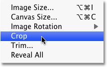 Selecting the Crop command in Photoshop. Image © 2010 Photoshop Essentials.com.