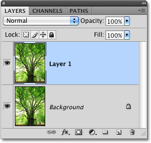 A copy of the layer appears in the Layers palette in Photoshop. Image © 2010 Photoshop Essentials.com.