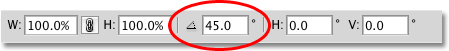 The Rotate command options in the Options Bar in Photoshop. Image © 2010 Photoshop Essentials.com.