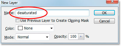 Photoshop's New Layer dialog box