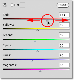 Membuat custom hitam dan putih dengan Black and White penyesuaian di Photoshop. Image © 2010 Photoshop Essentials.com.