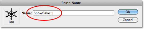 Naming the new brush in Photoshop. Image © 2010 Photoshop Essentials.com.