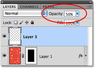 Lowering the layer opacity to 50% in Photoshop. Image © 2010 Photoshop Essentials.com.