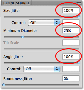 The Shape Dynamics options in the Brushes panel in Photoshop CS5. Image © 2010 Photoshop Essentials.com.