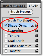 Selecting Shape Dynamics in the Brushes panel in Photoshop CS5. Image © 2010 Photoshop Essentials.com.