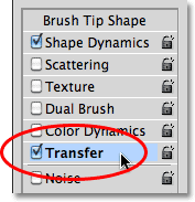 Selecting the Transfer options in the Brushes panel in Photoshop CS5. Image © 2010 Photoshop Essentials.com.