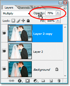 Lowering the opacity of the layer.