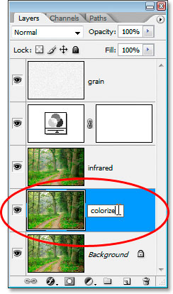 Renaming the layer to colorize.