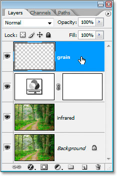 The new 'grain' layer added in the Layers palette.