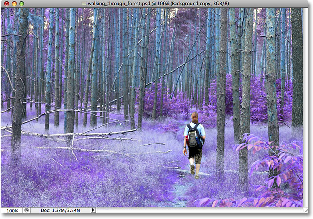 L'image après avoir changé le mode de fusion Couleur. Image © 2009 Photoshop Essentials.com.