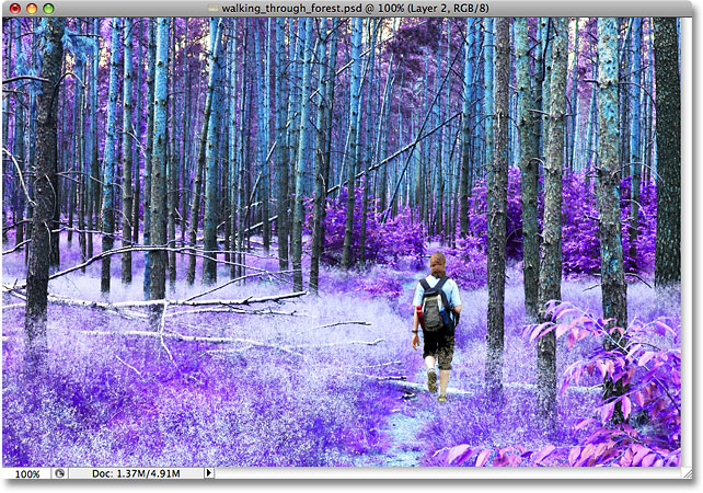 Le contraste de l'image a été augmenté avec le mode de fusion Superposition. Image © 2009 Photoshop Essentials.com.