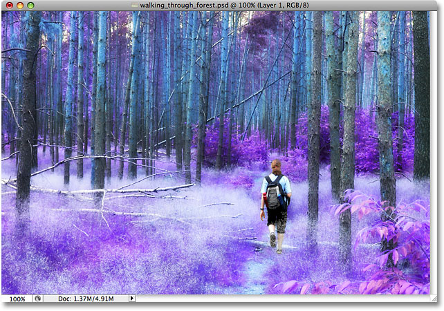 Photoshop terbalik efek warna foto. Image © 2009 Photoshop Essentials.com.