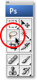 Selección de la herramienta Lazo en Photoshop. Imagen © 2009 Photoshop Essentials.com.