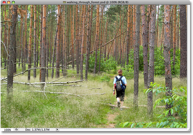 Sebuah foto dari seseorang berjalan melalui hutan. Gambar berlisensi dari iStockphoto oleh Photoshop Essentials.com.