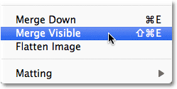 Photoshop Merge perintah Visible. Gambar © 2011 Photoshop Essentials.com.