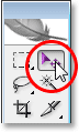 Selecting the Move Tool in the Tools palette.