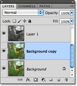 Menduplikasi layer Background di Photoshop. Gambar © 2011 Photoshop Essentials.com.