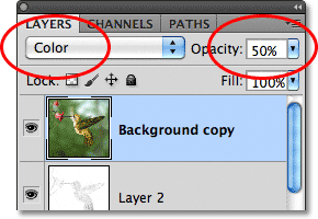 Changing the blend mode to Color and lowering the layer opacity. Image © 2011 Photoshop Essentials.com.