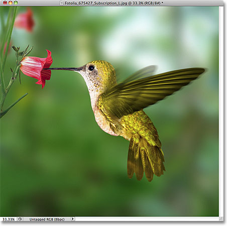 Foto asli. Gambar berlisensi dari Fotolia oleh Photoshop Essentials.com.