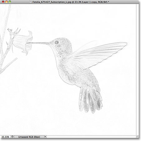 The photo has been converted into a sketch with the Minimum filter. Image © 2011 Photoshop Essentials.com.