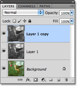 Layer 1 copy. Gambar © 2011 Photoshop Essentials.com.