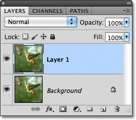 Photoshop Layer 1. Image © 2011 Photoshop Essentials.com.